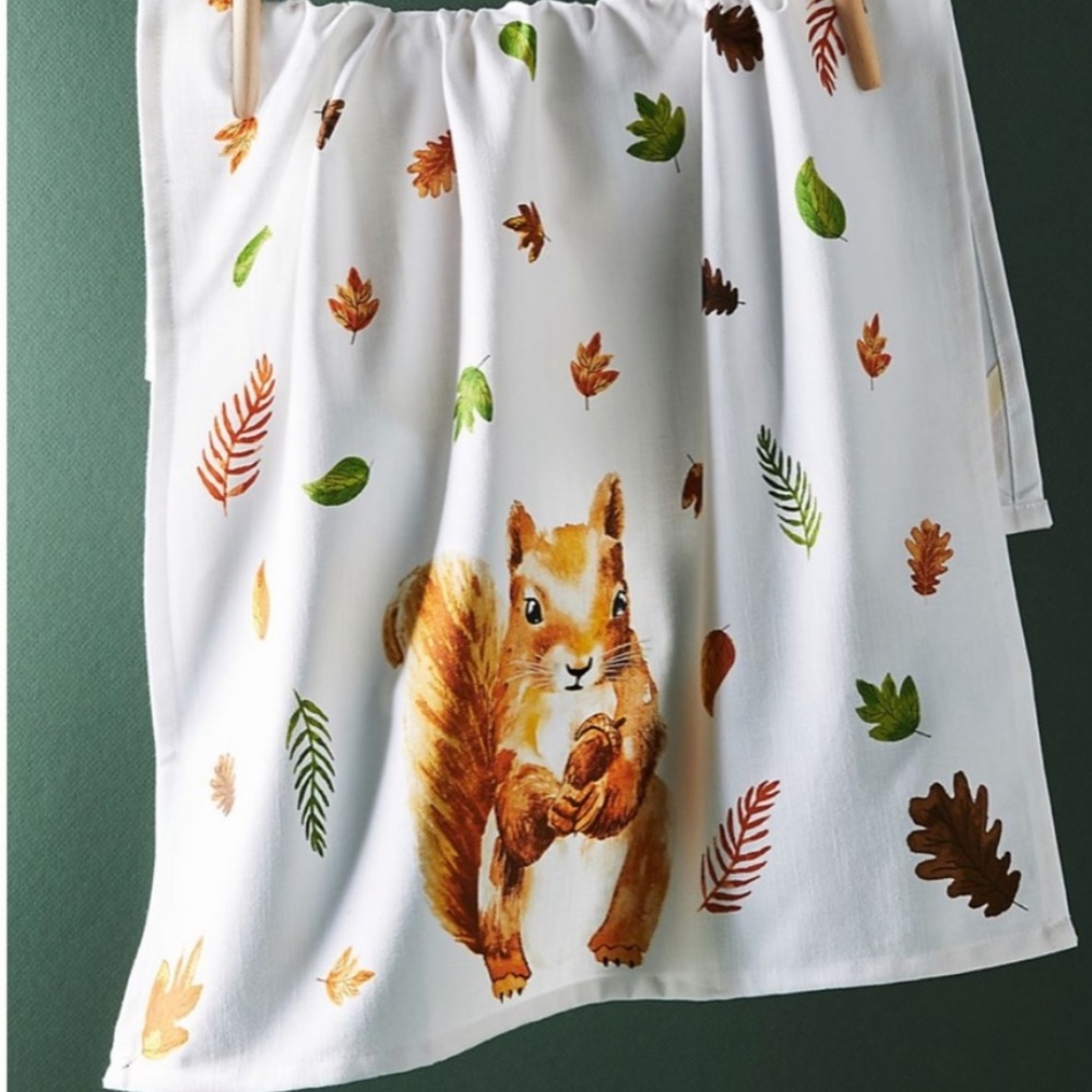 Anthropologie sandy the squirrel dish towel NWT